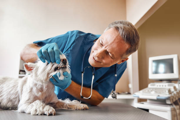 Best Emergency Gum Treatment in Checotah, OK
